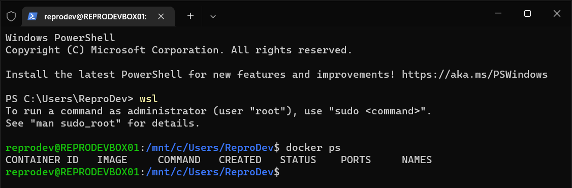 Get Started with Docker - Part 2b: Windows 11 Install Guide