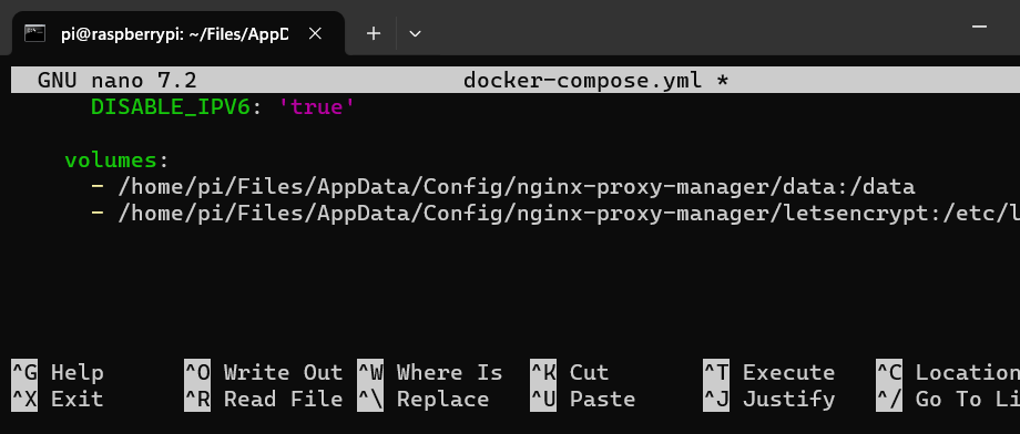 Get Started with Docker - Part 5: Forward Custom Hostnames with Nginx Proxy Manager and Pi-Hole