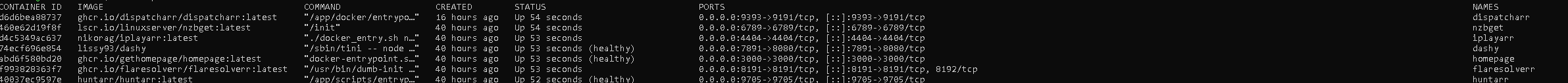 Terminal Console showing all running containers