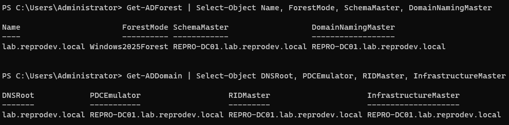 FSMO Role Verification Terminal